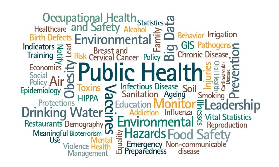 Public-Health-Internships word cloud.jpg