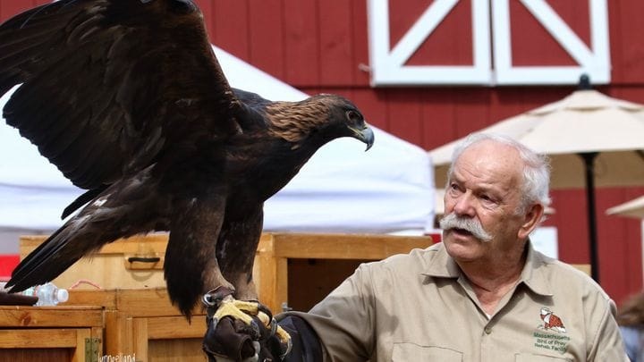 Tom Ricardi Birds of Prey Photo 2023.jpg