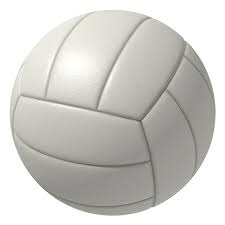 volleyball white ball.jpg