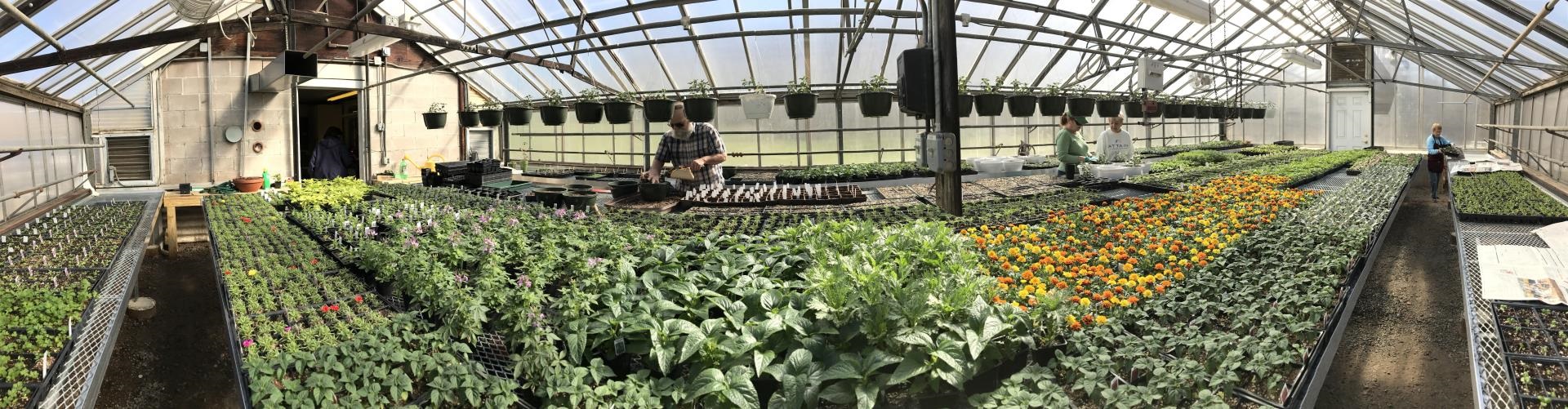 360-degree image of the greenhouse