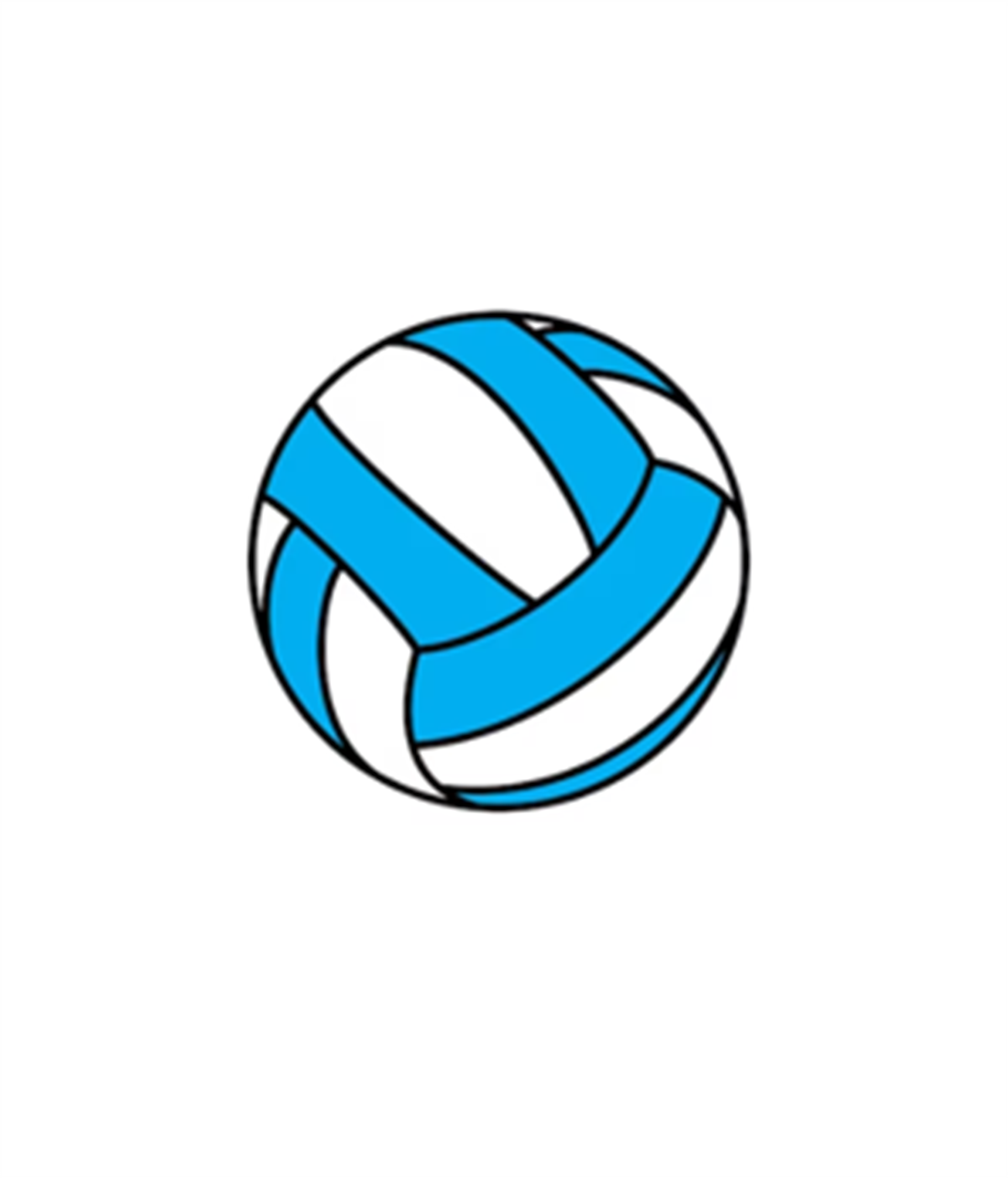 Stars & Spikes Volleyball Camp - Town of West Springfield