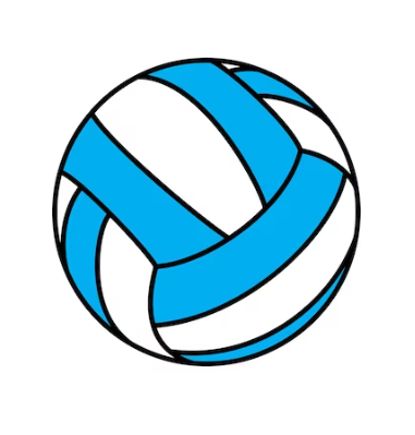 Volleyball Blue & White.PNG