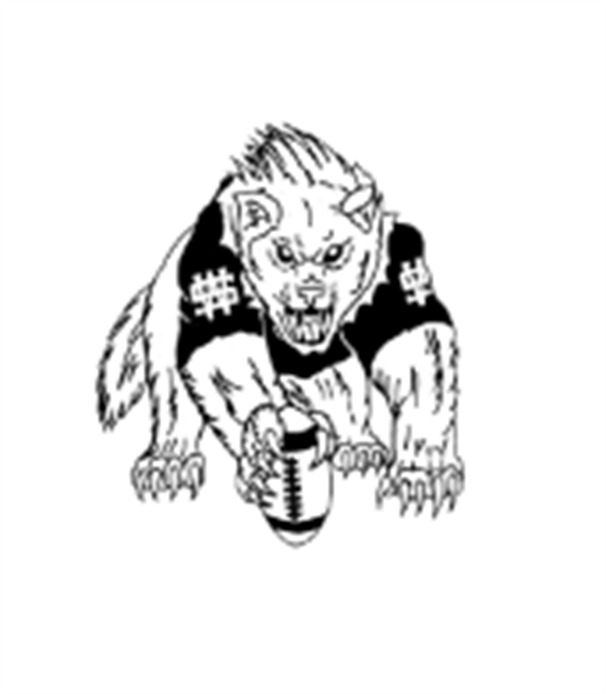 Football Clinic - West Side Wolverines - Town of West Springfield
