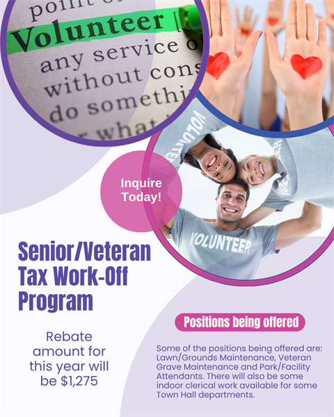 Empowering Seniors & Veterans to Reduce Property Taxes Through CommunityThrough Community Service..png