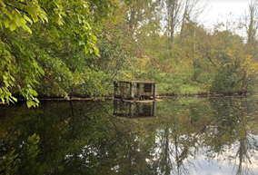 Piper pond pre-construction conditions