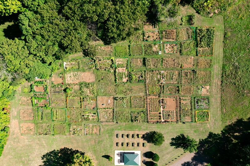 Aerial drone image of a field