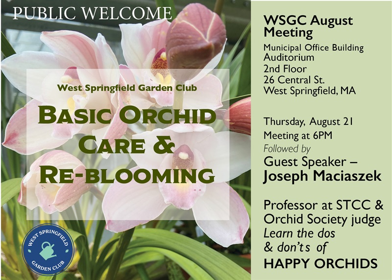 Orchids.jpg